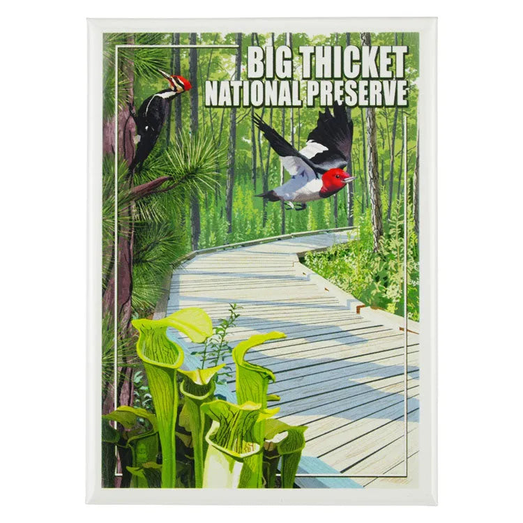 Big Thicket National Preserve Magnet - Boardwalk