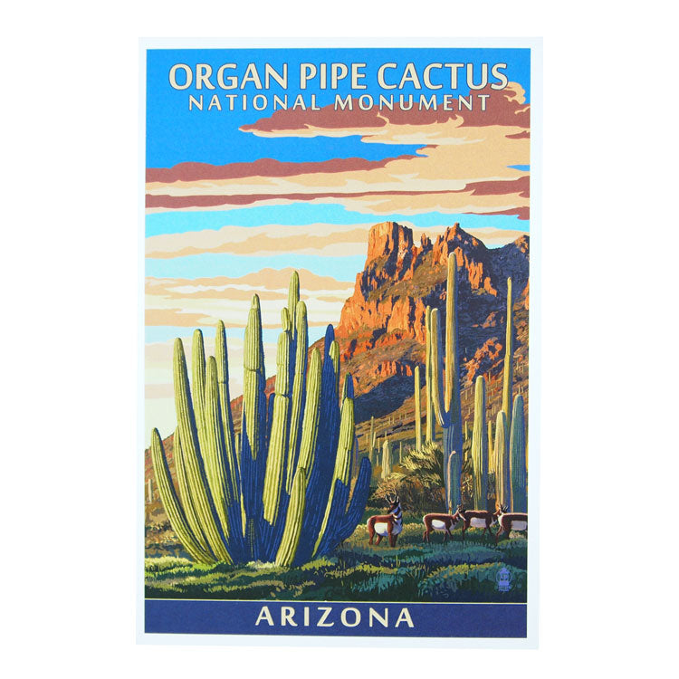 Organ Pipe Cactus National Monument Postcard - Illustration