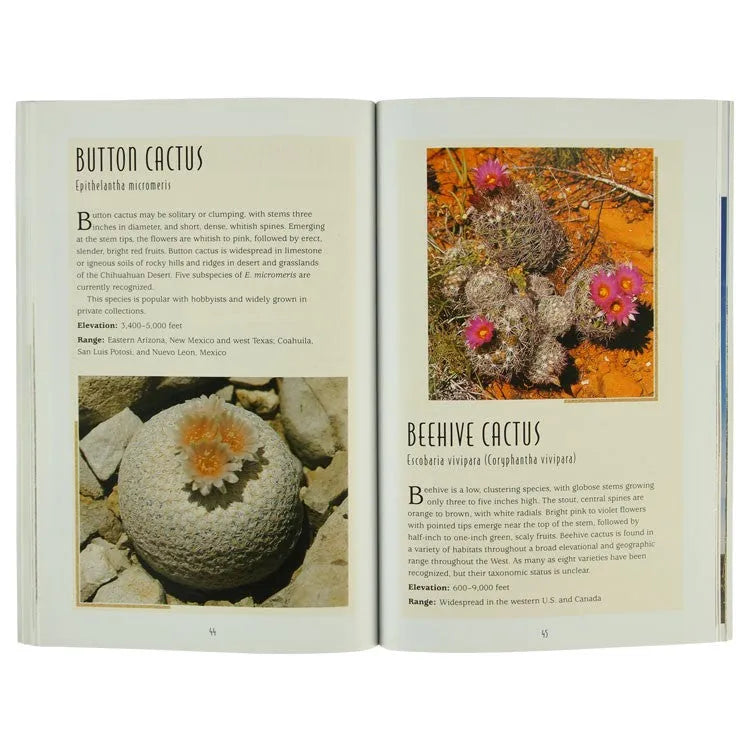 Cacti of the Desert Southwest interior pages detailing button cactus and beehive cactus