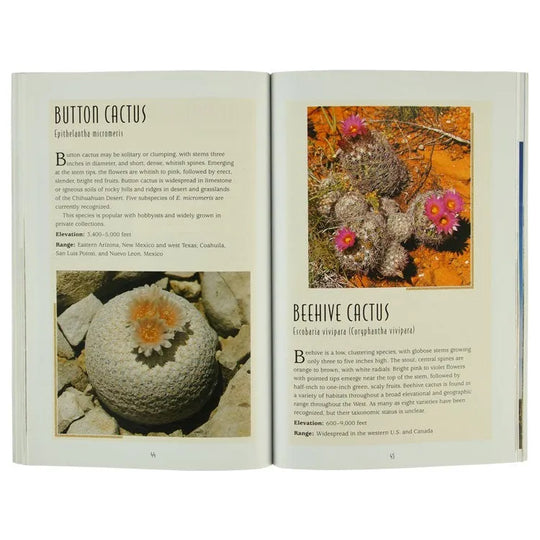 Cacti of the Desert Southwest interior pages detailing button cactus and beehive cactus