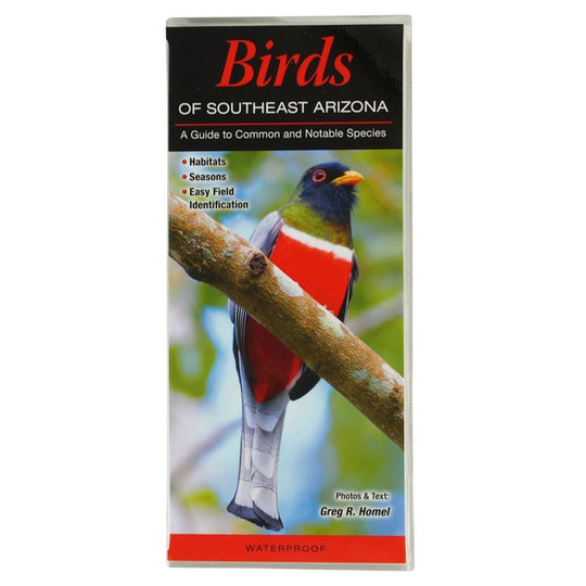 Birds of Southeast Arizona