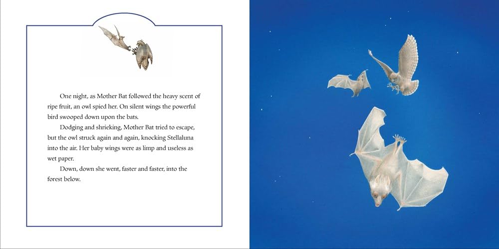 Illustration of a bat flying with text on the left side against a blue background