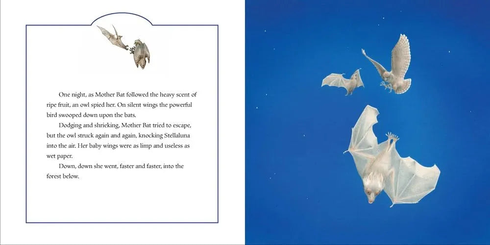 Illustration of a bat flying with text on the left side against a blue background