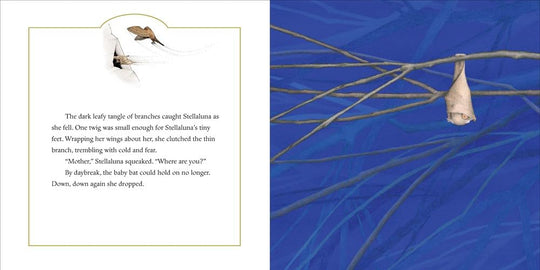 Illustration of a roosting bat on branches with text on a blue background