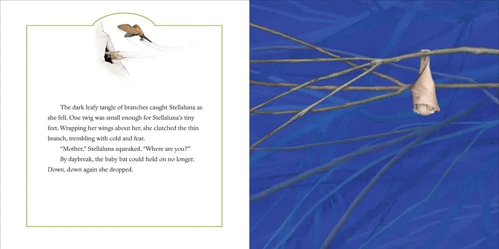 Illustration of a roosting bat on branches with text on a blue background