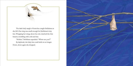 Illustration of a roosting bat on branches with text on a blue background