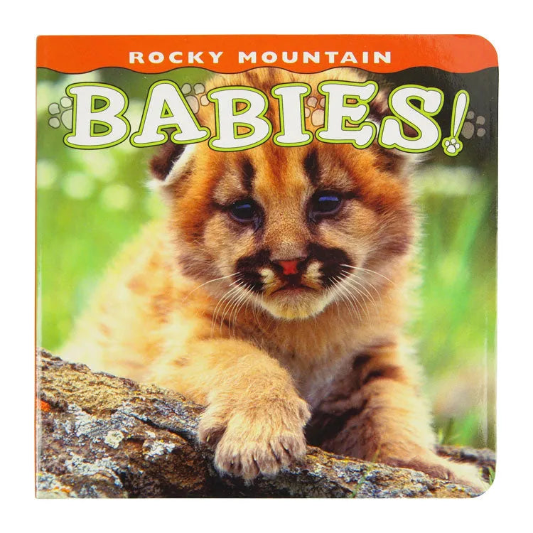 Rocky Mountain Babies front cover with baby bobcat