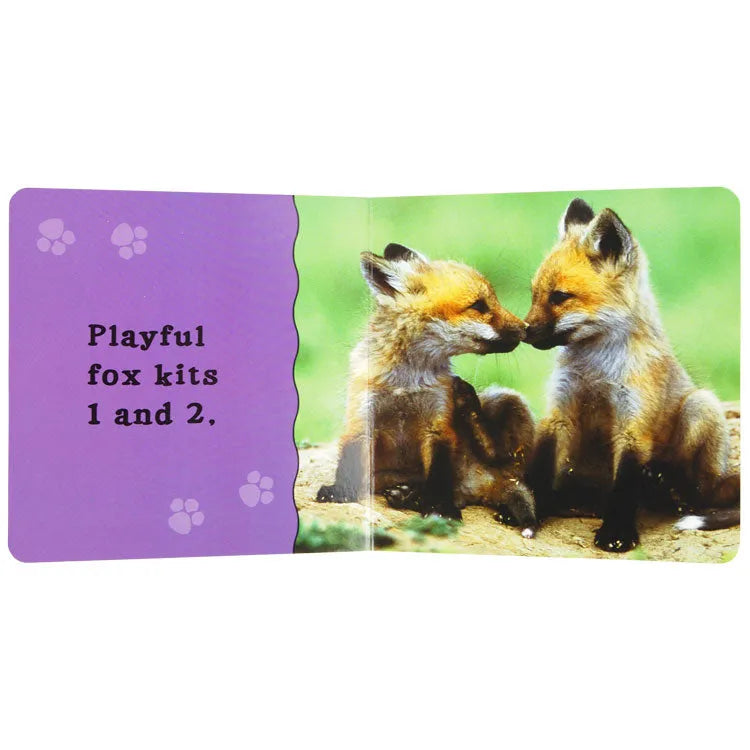 Rocky Mountain Babies interior pages with baby foxes