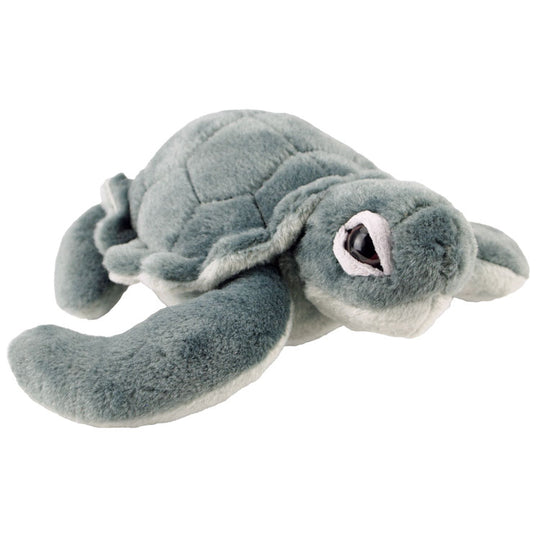 Kemp's Ridley Turtle Plush Toy