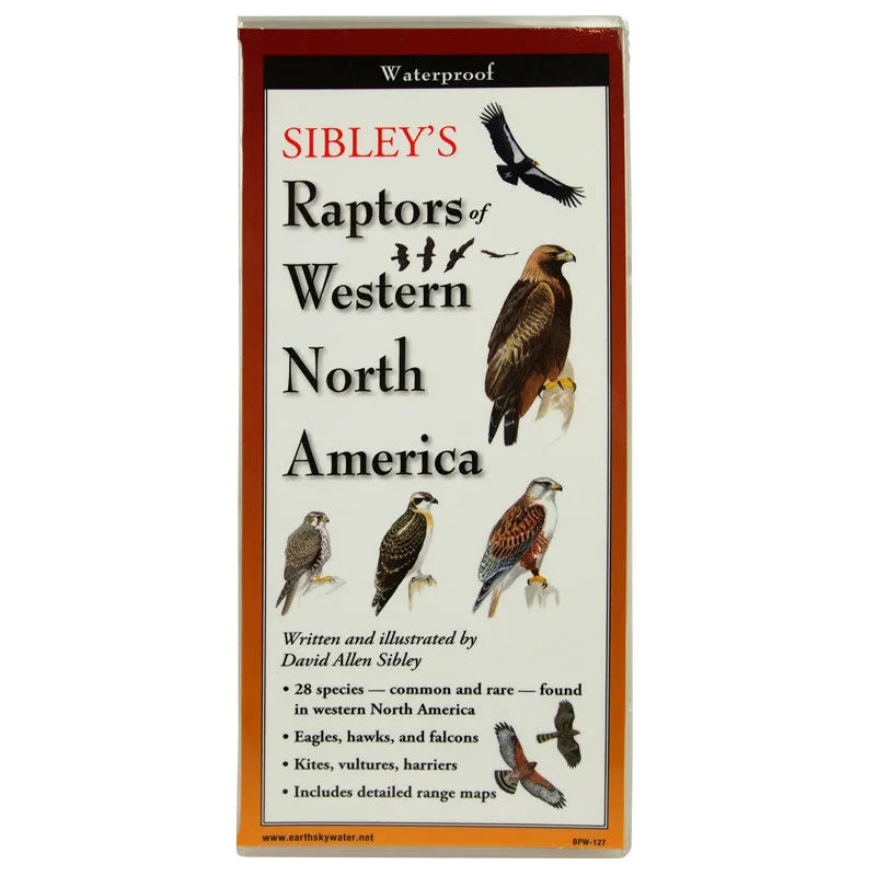 Sibley's Guide to Raptors of Western North America front cover