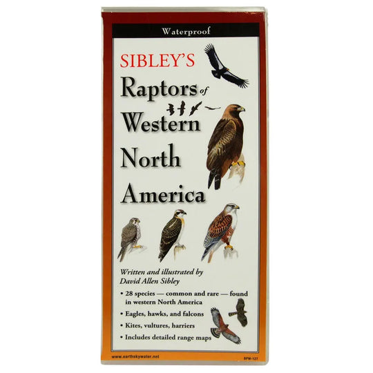 Sibley's Guide to Raptors of Western North America front cover