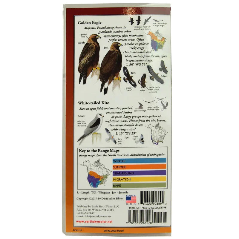 Sibley's Guide to Raptors of Western North America back cover