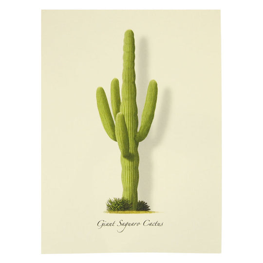 Giant Saguaro Notecard Set