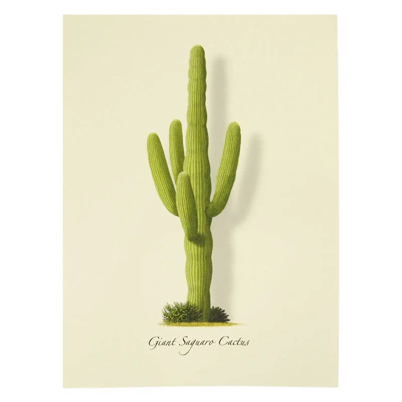 Giant Saguaro Notecard Set