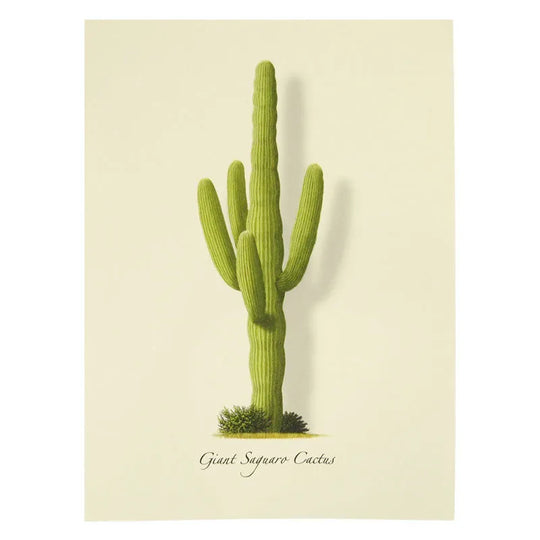 Giant Saguaro Notecard Set