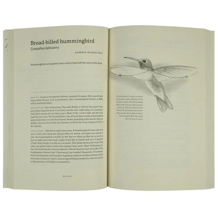 Interior pages of The Sonoran Desert: A Literary Field Guide edited by Eric Magrane and Christopher Cokinos focusing on the Broad-billed hummingbird