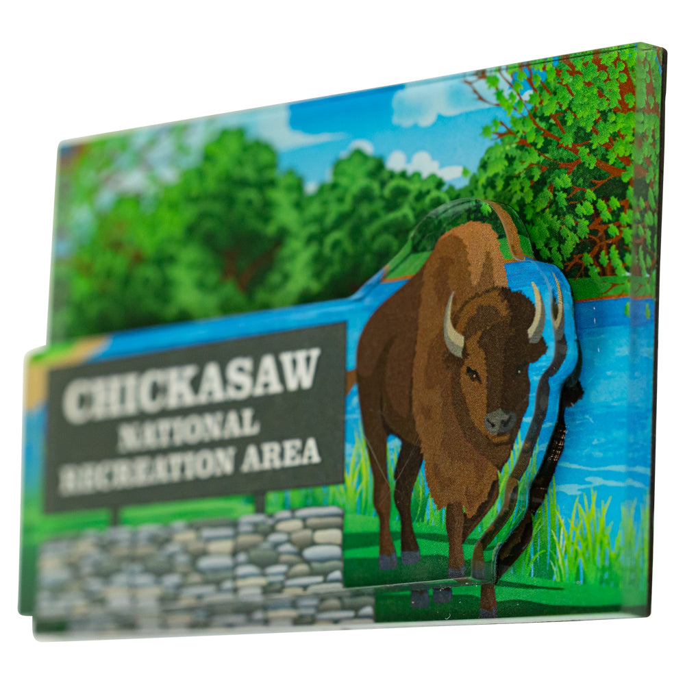 Magnet with a bison and 'Chickasaw National Recreation Area' text on a scenic background