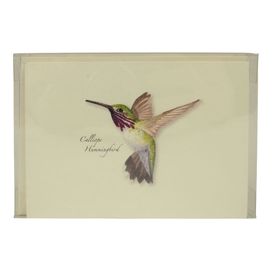 Western Hummingbird Notecard Set