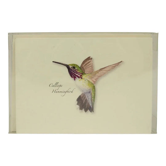 Western Hummingbird Notecard Set