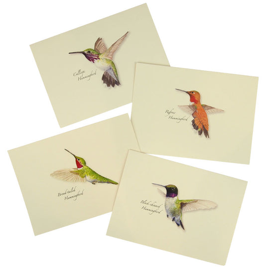 Western Hummingbird Notecard Set