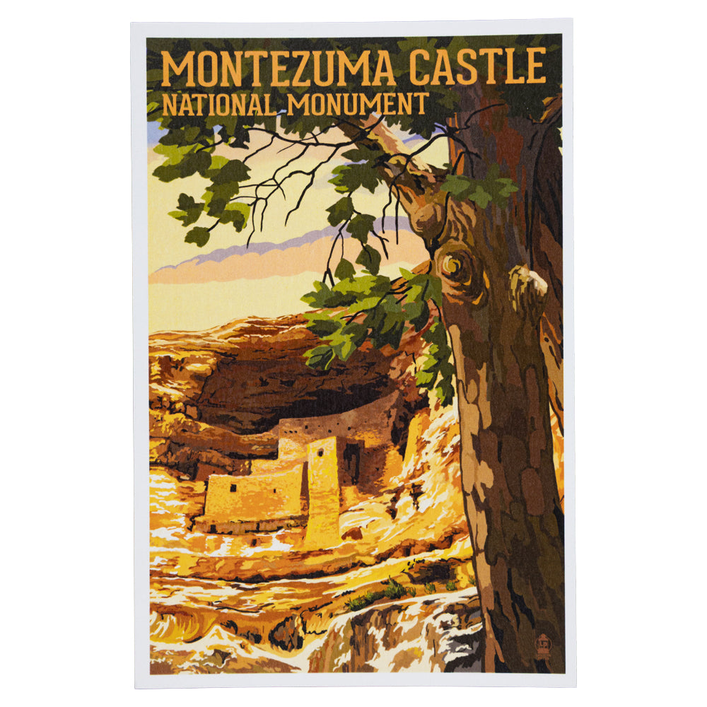 Vintage-style postcard of Montezuma Castle National Monument with a tree and cliff in the foreground.