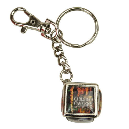 Carlsbad Caverns National Park Keychain - Picture Cube