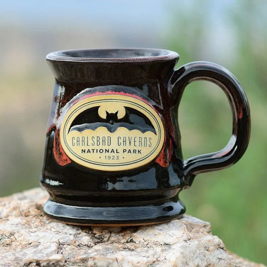 Carlsbad Caverns National Park Footed Mug Perched on a Rock
