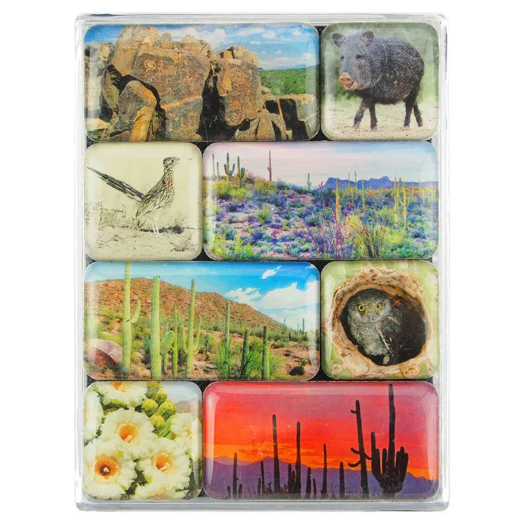 Saguaro National Park Mini Magnet Set