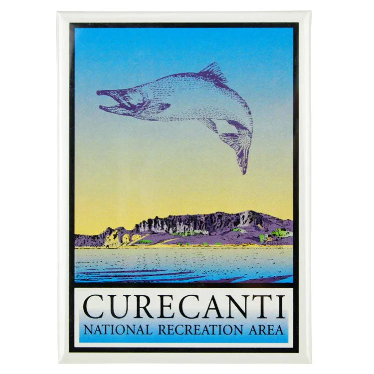 Curecanti National Rec. Area Magnet - Logo