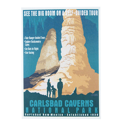 Carlsbad Caverns National Park Postcard - Retro