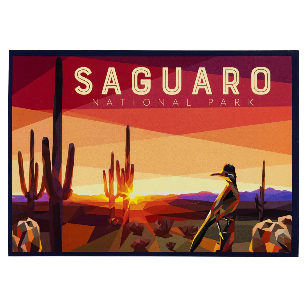 Saguaro National Park Postcard - Geometric Roadrunner