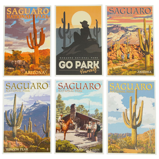 Saguaro National Park Postcard Set