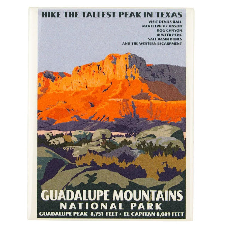Guadalupe Mountains National Park Magnet - Retro