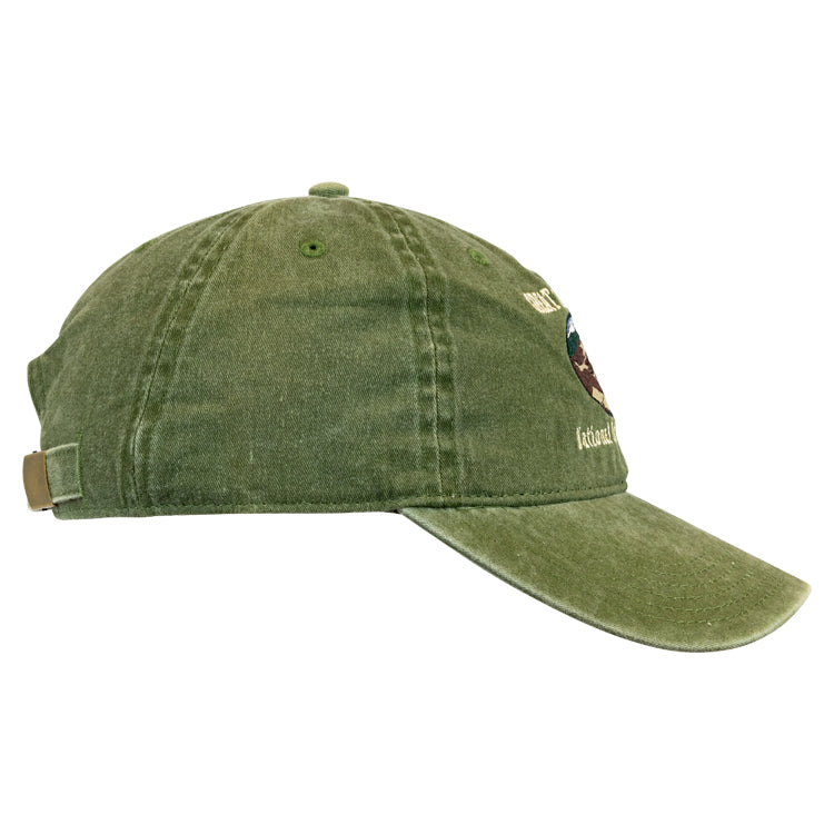 Great Sand Dunes National Park Cap