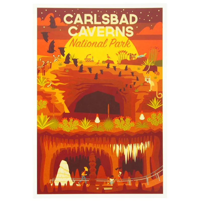 Carlsbad Caverns National Park Postcard - Geometric