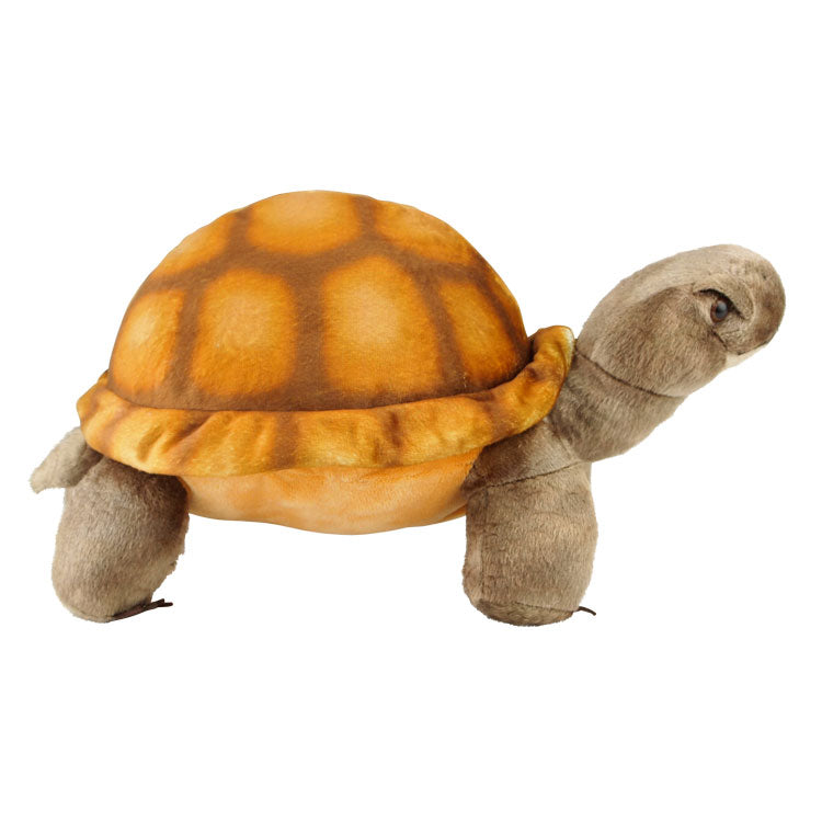 Desert Tortoise Plush Toy