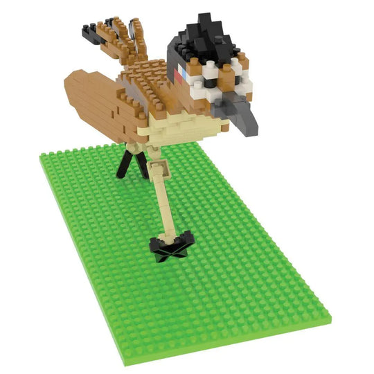 Roadrunner Mini Block Set