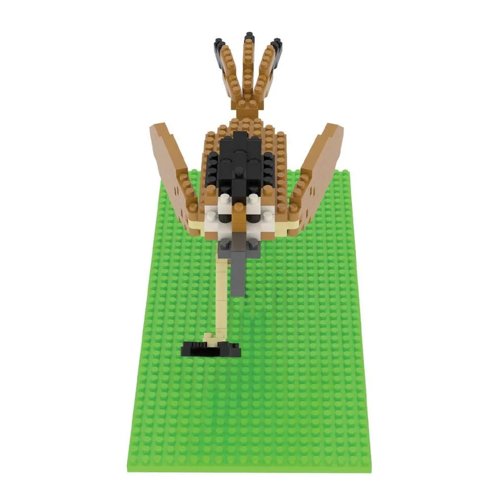 Roadrunner Mini Block Set