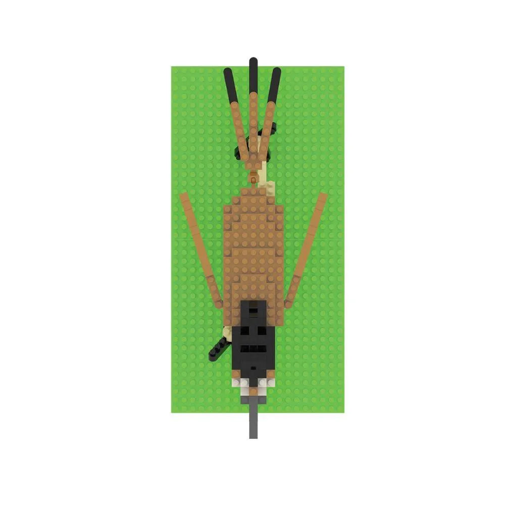 Roadrunner Mini Block Set