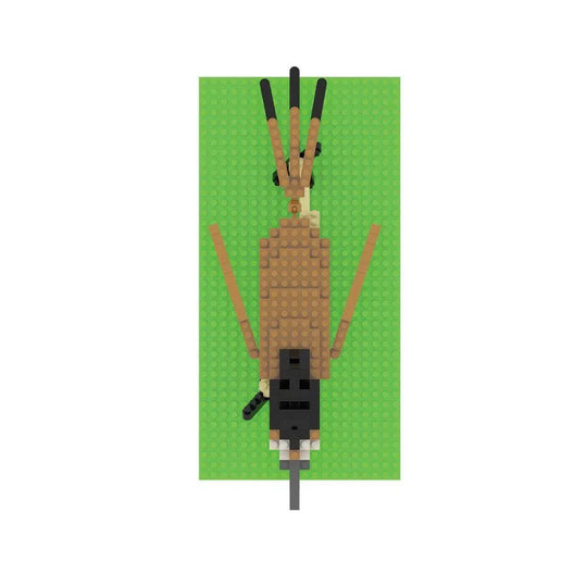 Roadrunner Mini Block Set