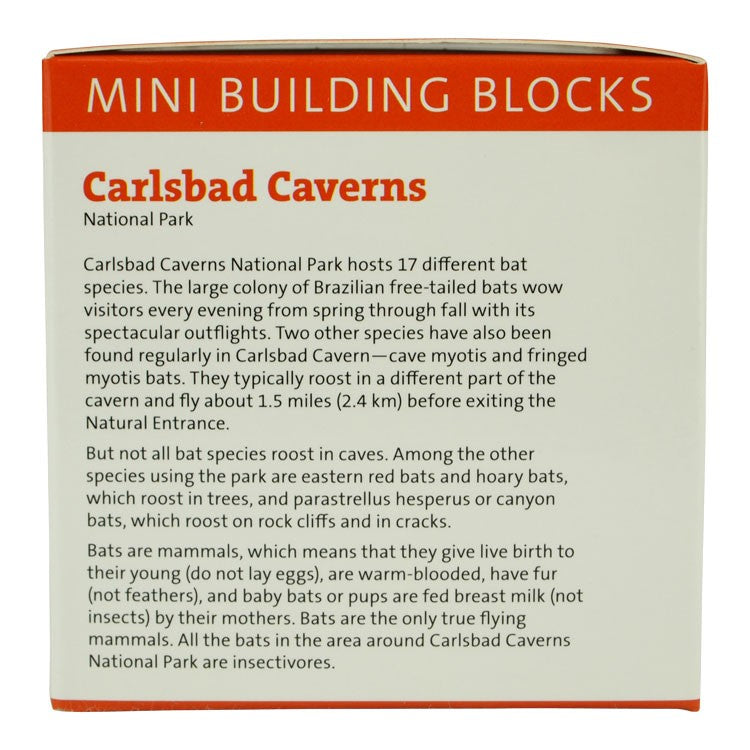 Carlsbad Caverns Brazilian Free-Tailed Bat Mini Block Set