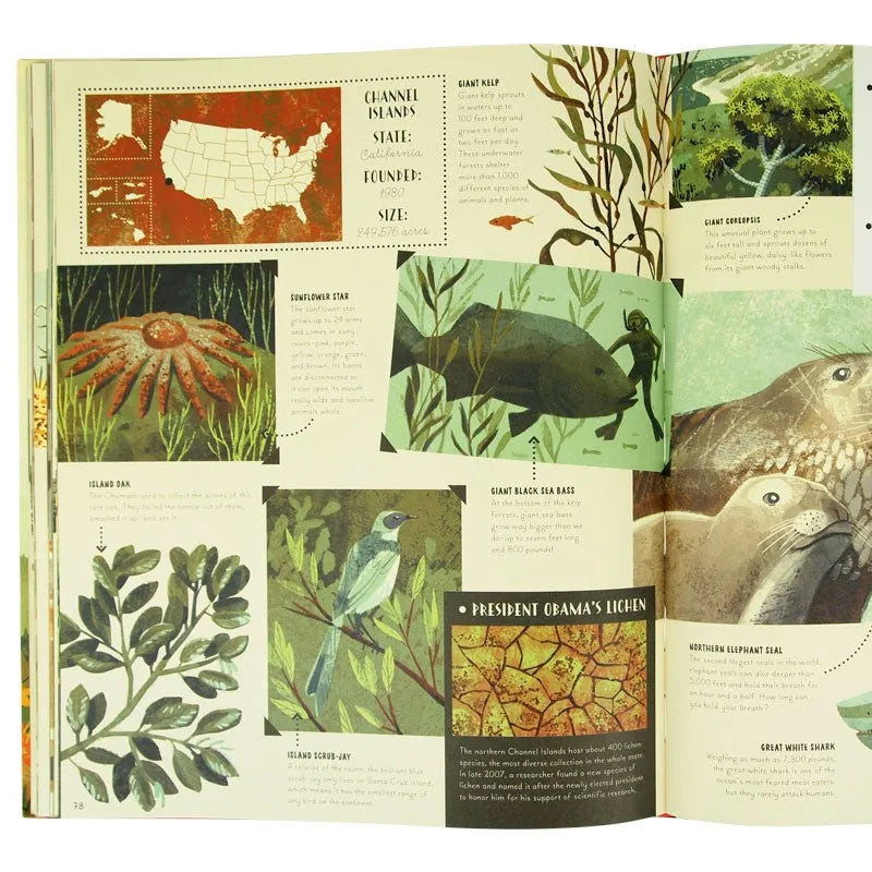 Interior page of National Parks of the USA children's book by Kate Siber and illustrated by Chris Turnham