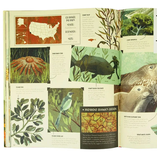 Interior page of National Parks of the USA children's book by Kate Siber and illustrated by Chris Turnham