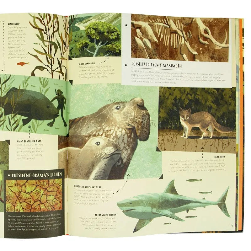 More interior pages of National Parks of the USA children's book by Kate Siber and illustrated by Chris Turnham