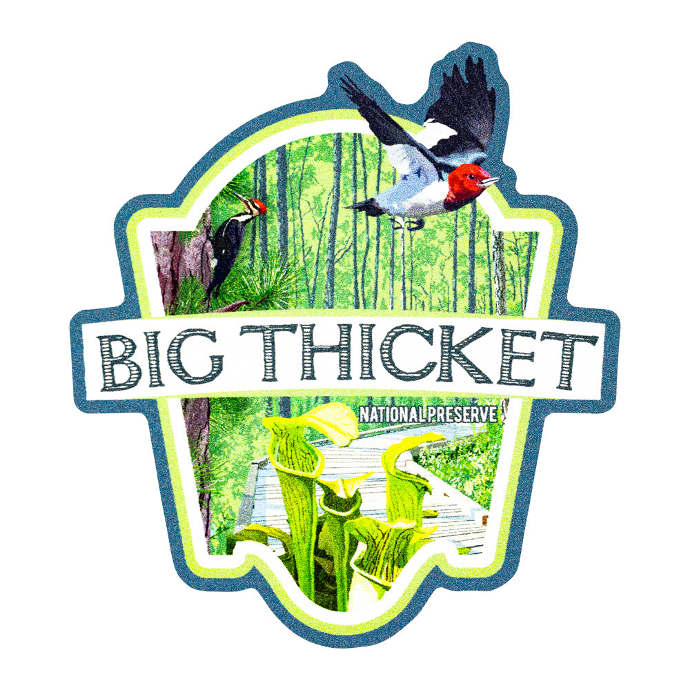 Big Thicket National Preserve Sticker - Boardwalk