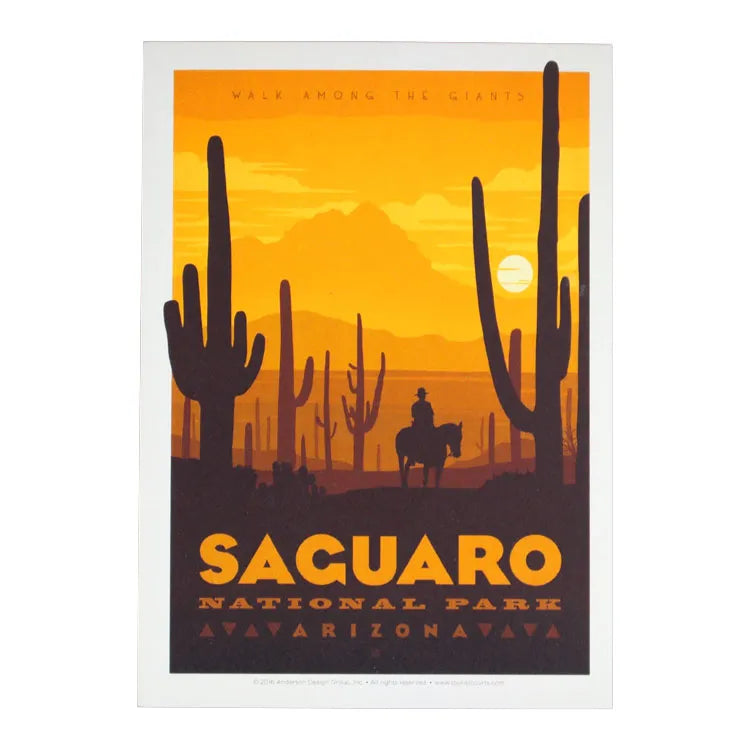 Saguaro National Park Postcard - ADG Sunset