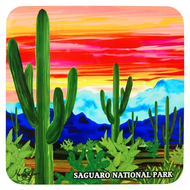 Saguaro National Park Coaster - Saguaro Sunset