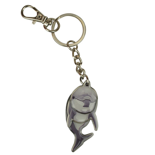 Channel Islands National Park Keychain - Dolphin Shaker