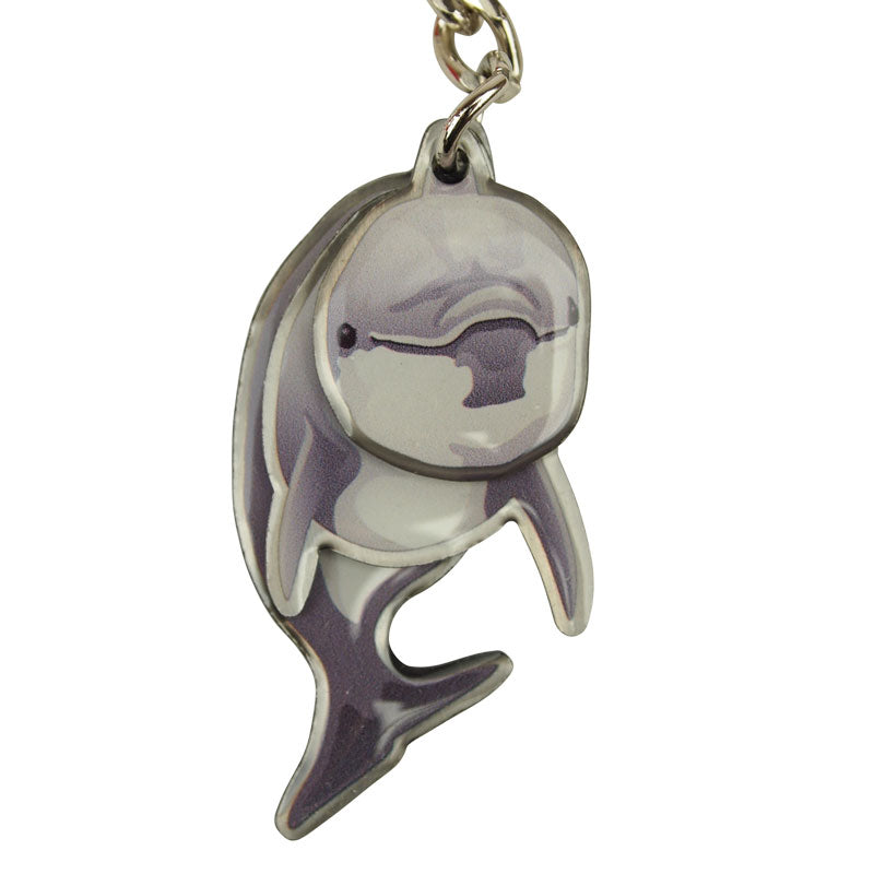 Channel Islands National Park Keychain - Dolphin Shaker