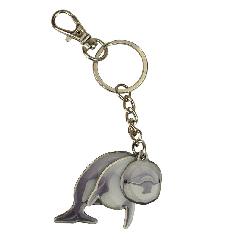 Channel Islands National Park Keychain - Dolphin Shaker